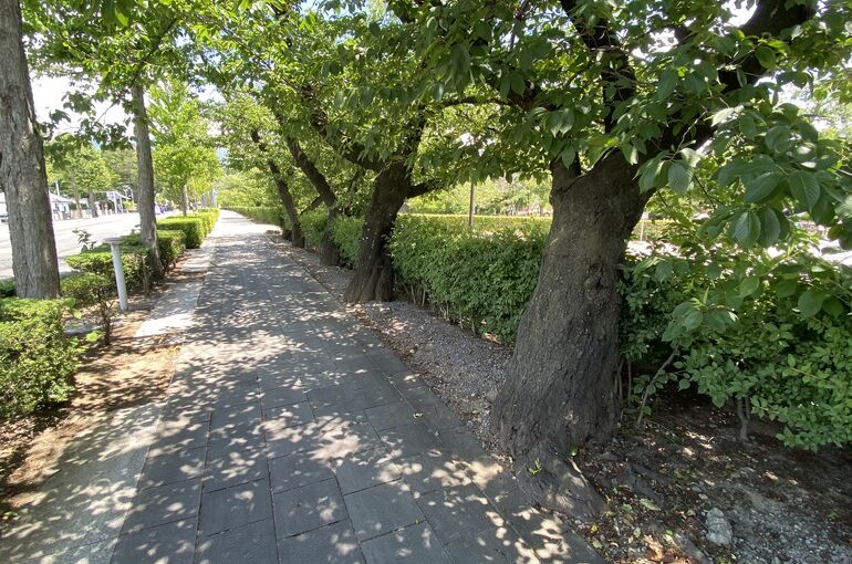 信州、街の風景　松本城周辺