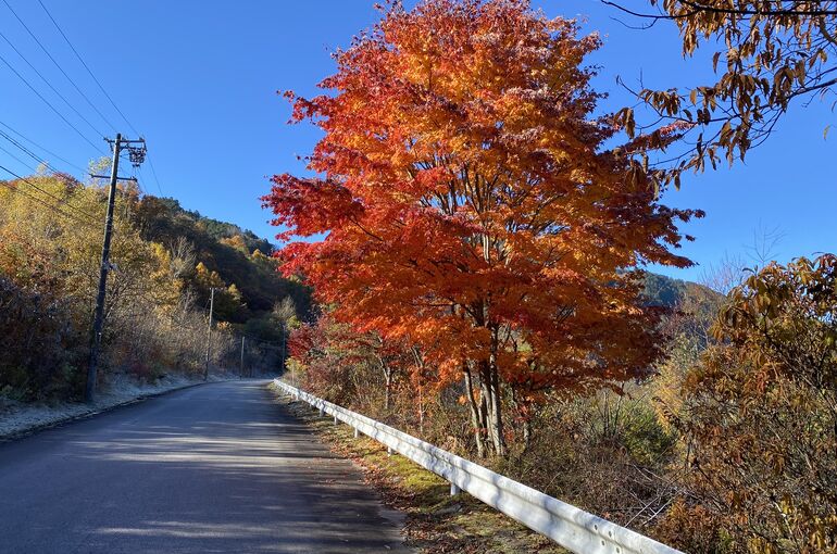 信州の秋の風景　木曽路